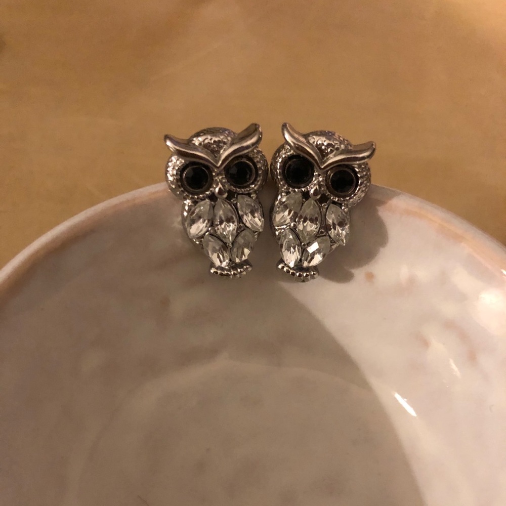 Adorable owl earrings